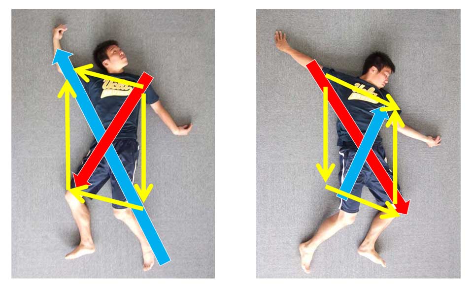 Dia.7: The three kinetic chain functional lines in correct alignment after correction