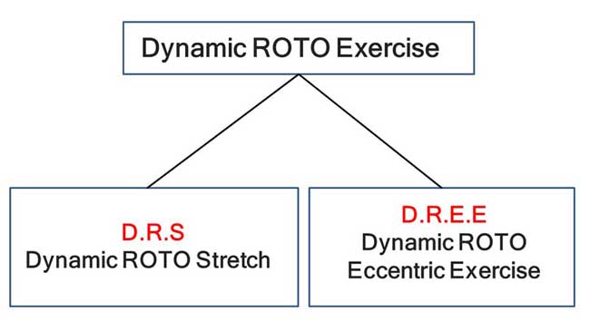 Dia.24：Dynamic ROTO Exercise
