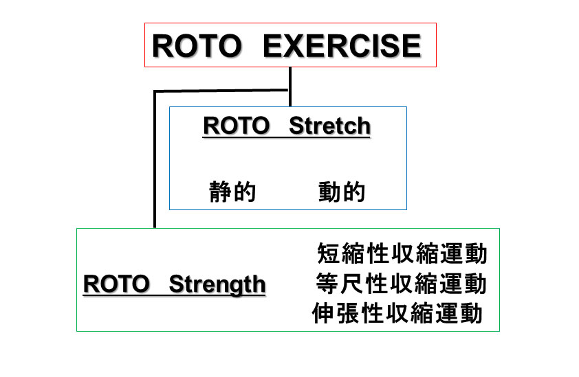 図24：ROTO Exercise